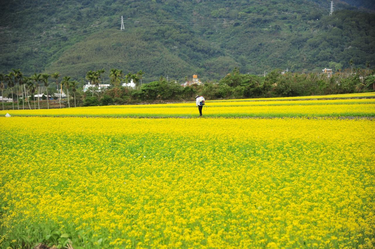Guanshan Fukuda Homestay Exterior foto